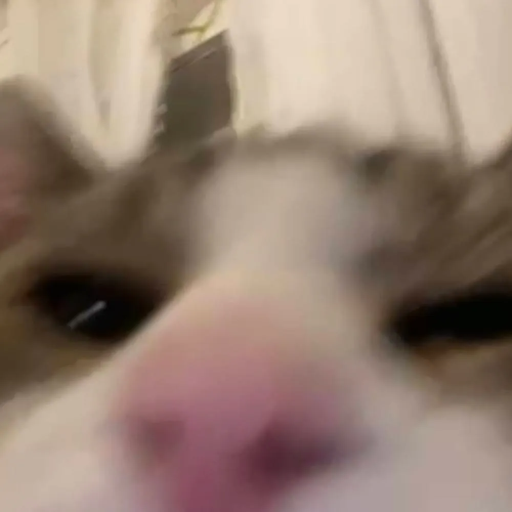 chat with ai character: idk