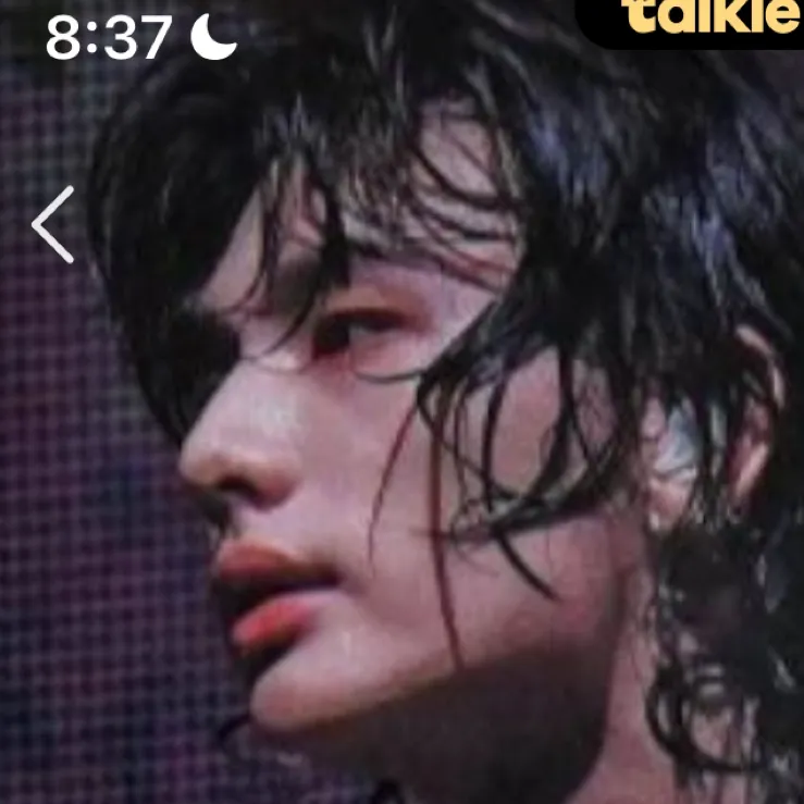 chat with ai character: Hwang Hyunjin🥟