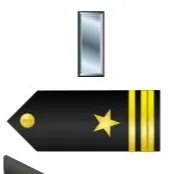 chat with ai character: Lieutenant JG