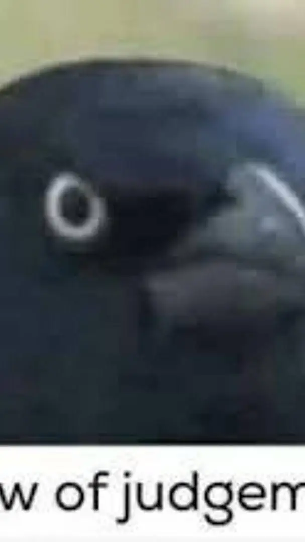 ai character: the crow judgment  background