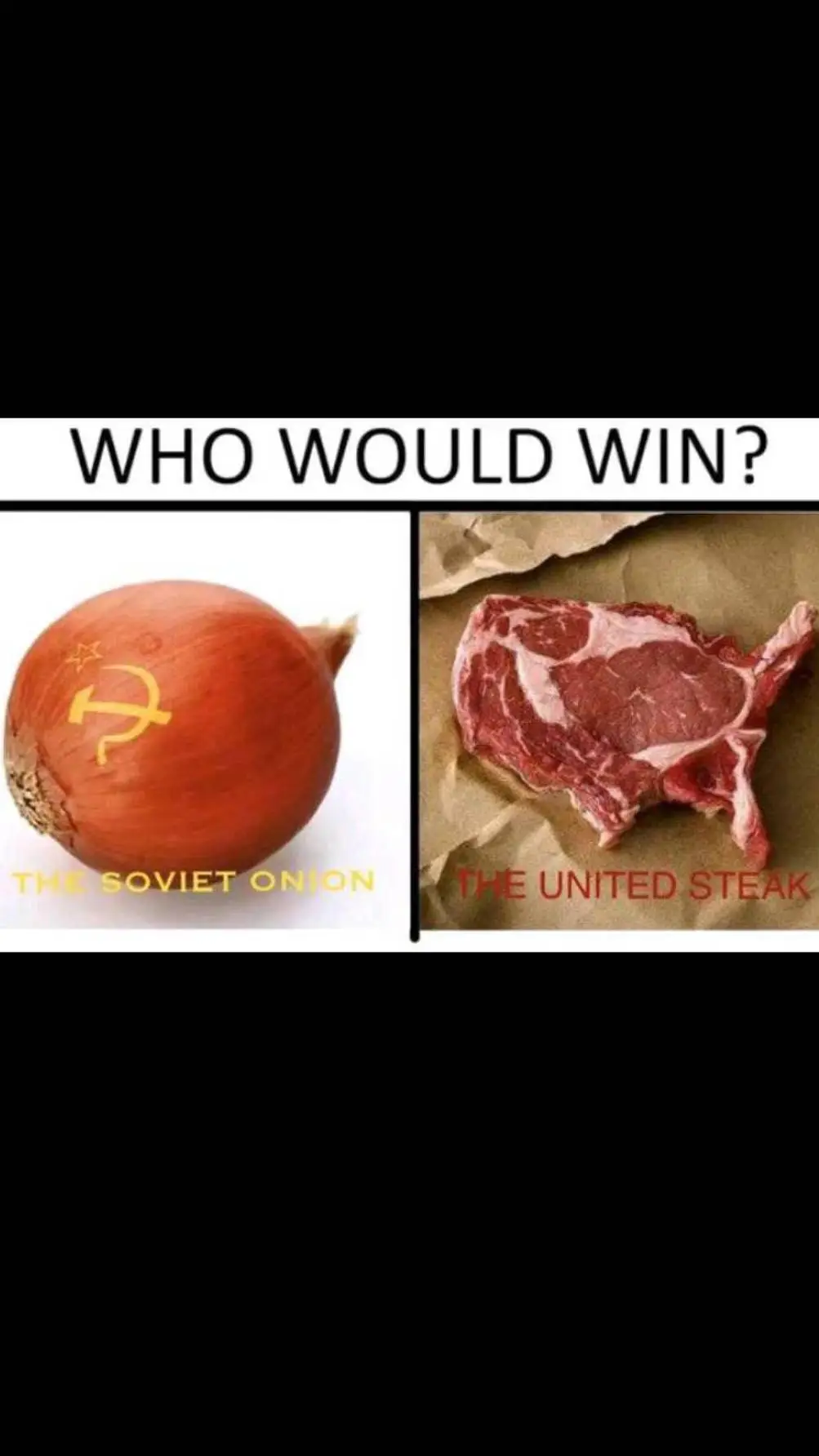 ai character: onion vs steak background