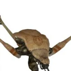 chat with ai character: anti-r63 strider