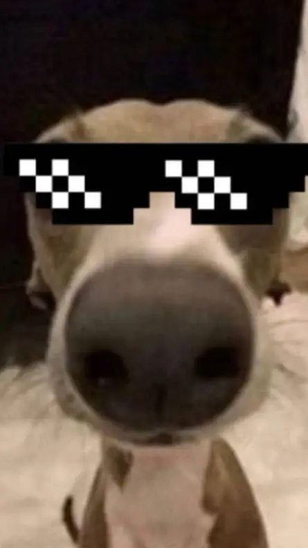 ai character: mrmanepik background