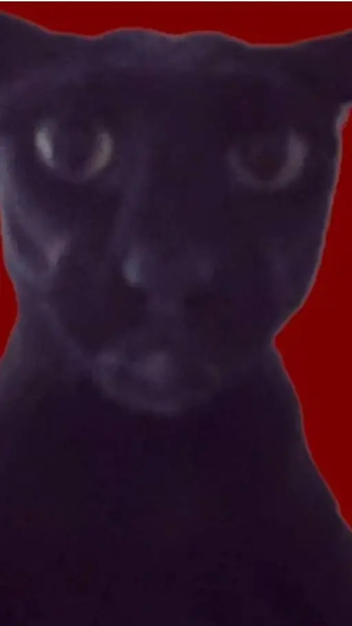 ai character: Evil larry background