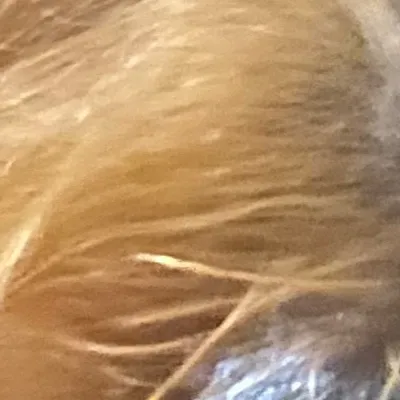 chat with ai character: Buster