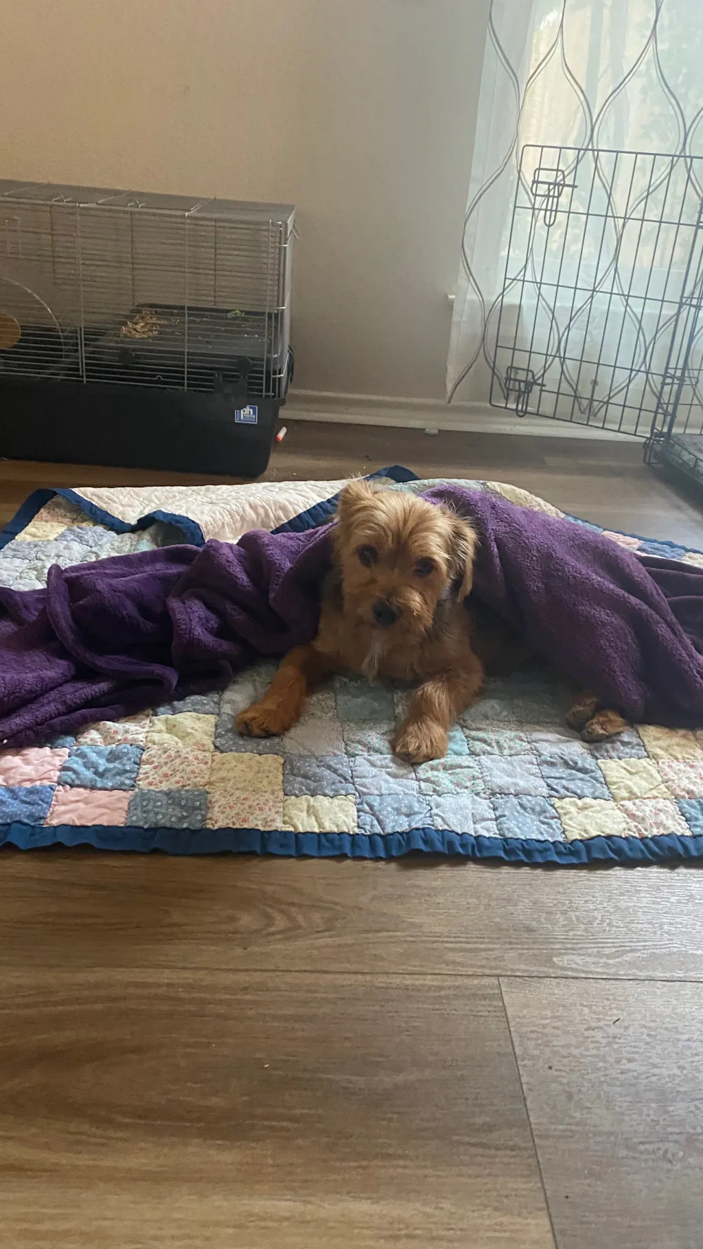 ai character: Baby2 background