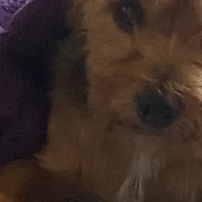 chat with ai character: Baby2