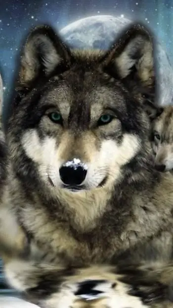 ai character: Hansel da wolf  background