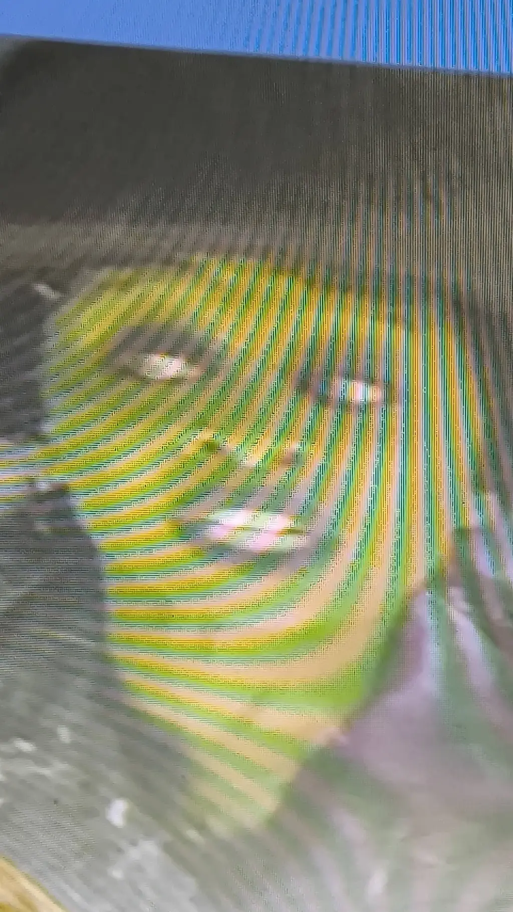 ai character: Elphaba  background