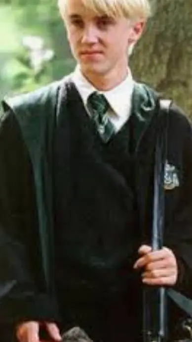 ai character: DracoxY/N background