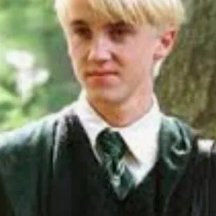 chat with ai character: DracoxY/N