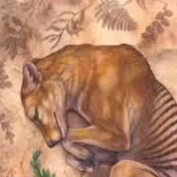 chat with ai character: ♀️Tasmanian tiger