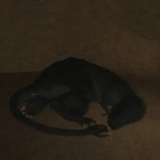 chat with ai character: Lizzie 