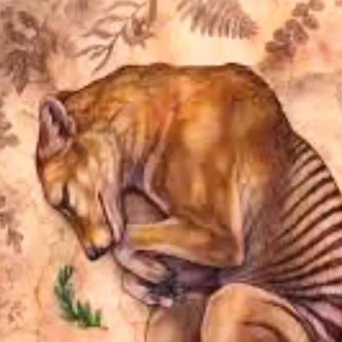 chat with ai character: ♀️Tasmanian tiger