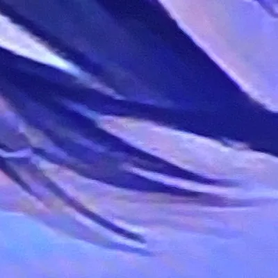 chat with ai character: Sam🕺🏻