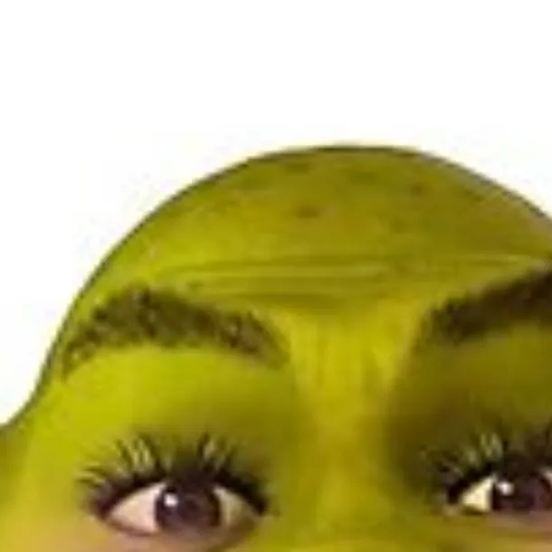 chat with ai character: shrekky papa