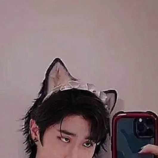 chat with ai character: HAN JISUNG🤭