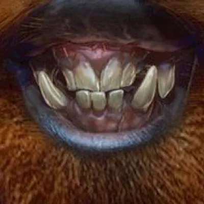 chat with ai character: Jamal the monkey