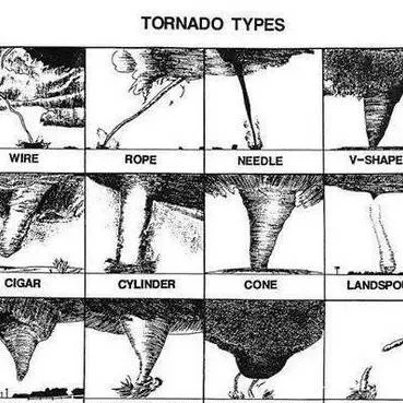 chat with ai character: Tornado Council