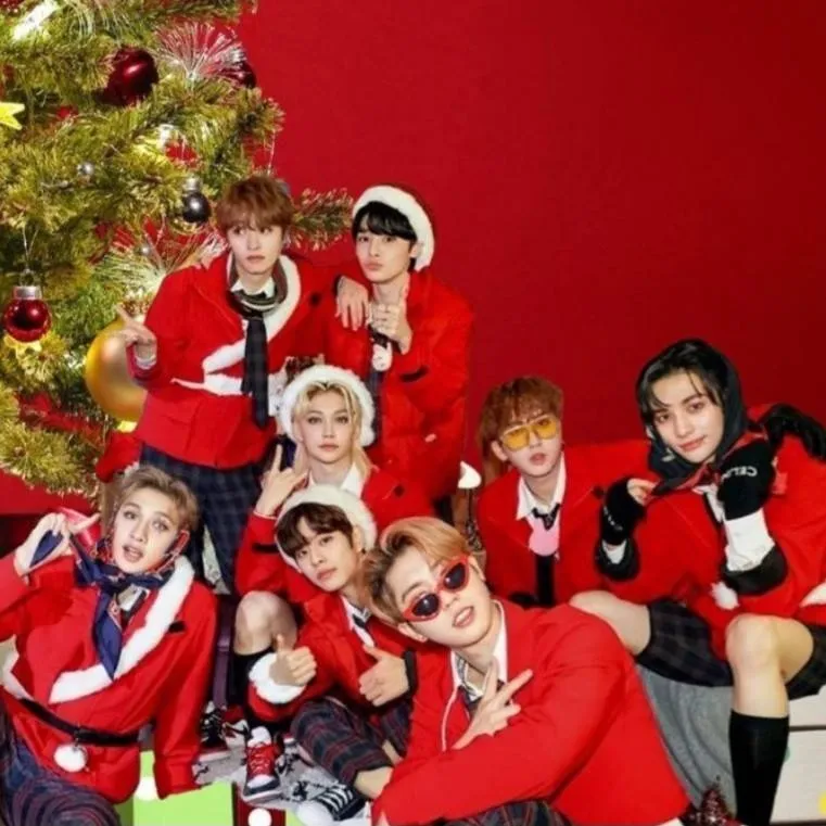 chat with ai character: ❄️🌲~Stray Kids~🌲❄️