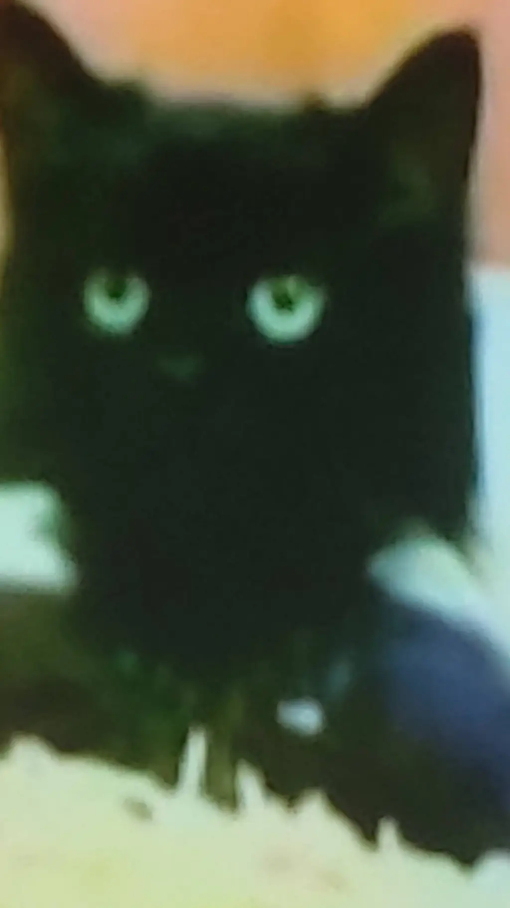 ai character: TEAM FORTRESS 2 (2 background