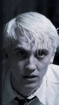 ai character: drarry❤️💚 background