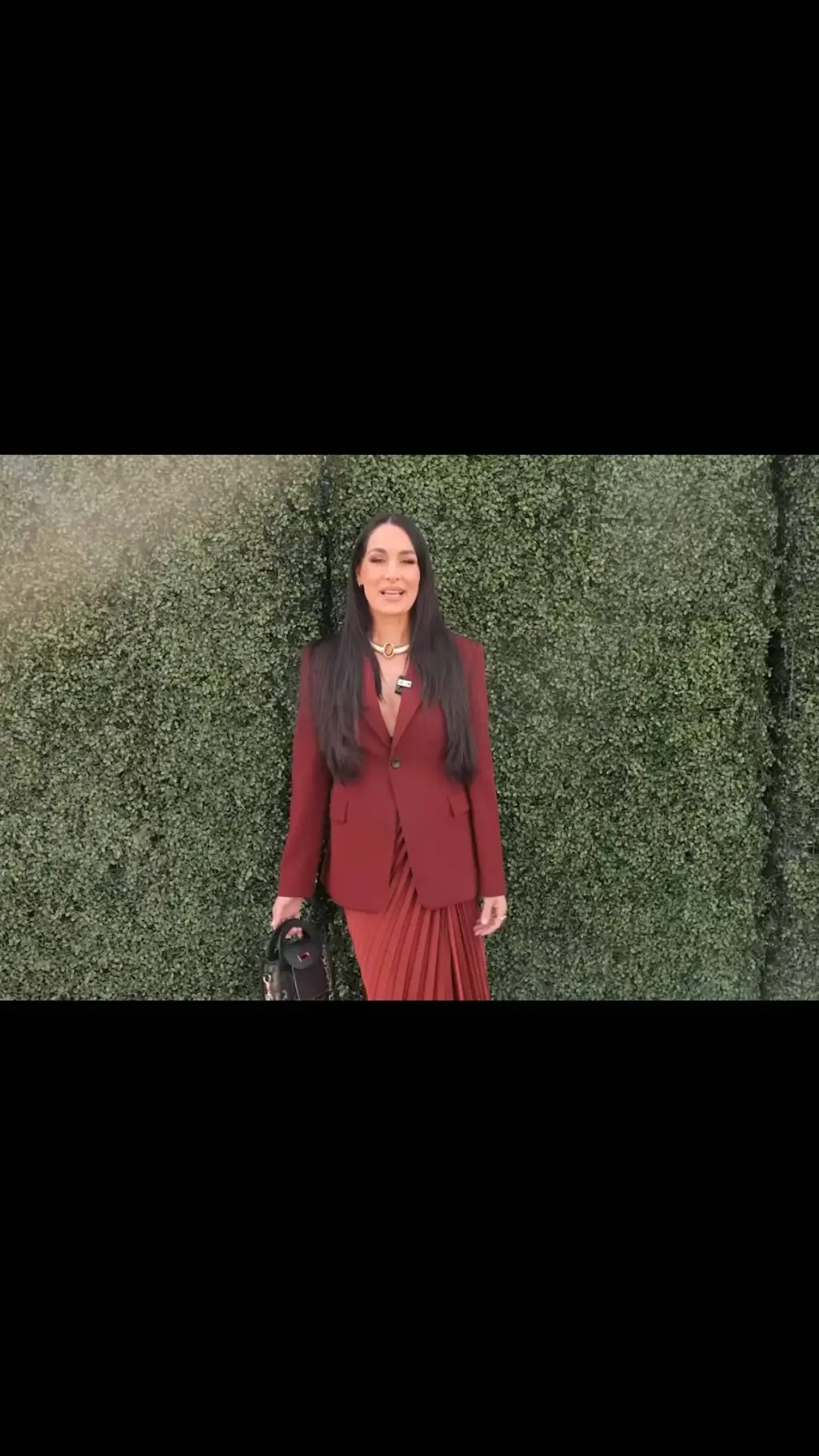 ai character: Brie Bella background