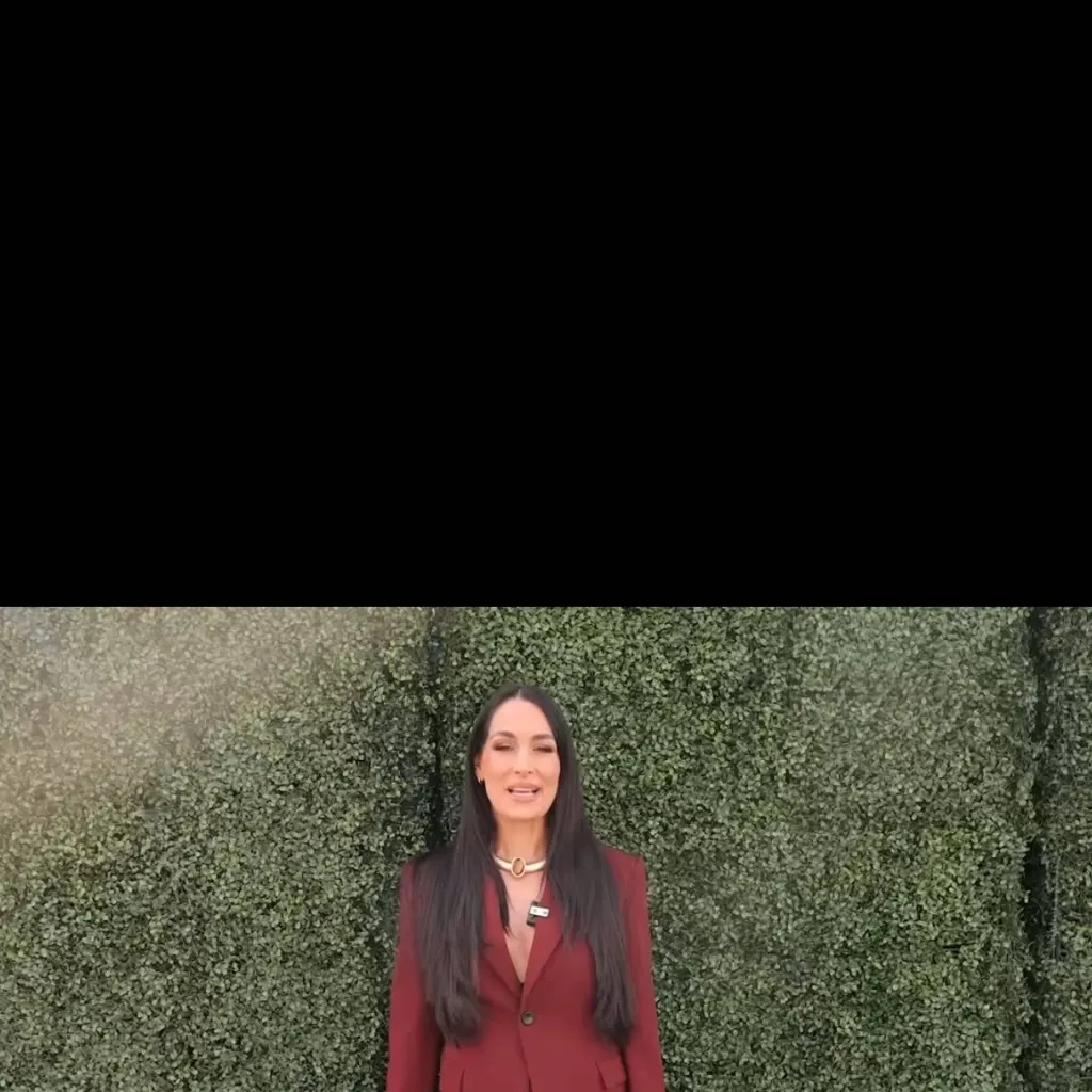 chat with ai character: Brie Bella