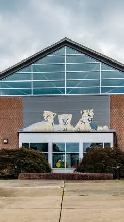 ai character: Cougar Elementary background