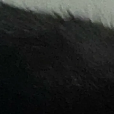 chat with ai character: Mαʂσɳ🐱⚫️🍞