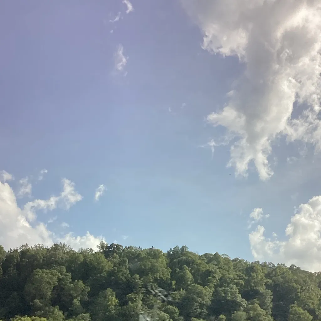 chat with ai character: Inosuke!