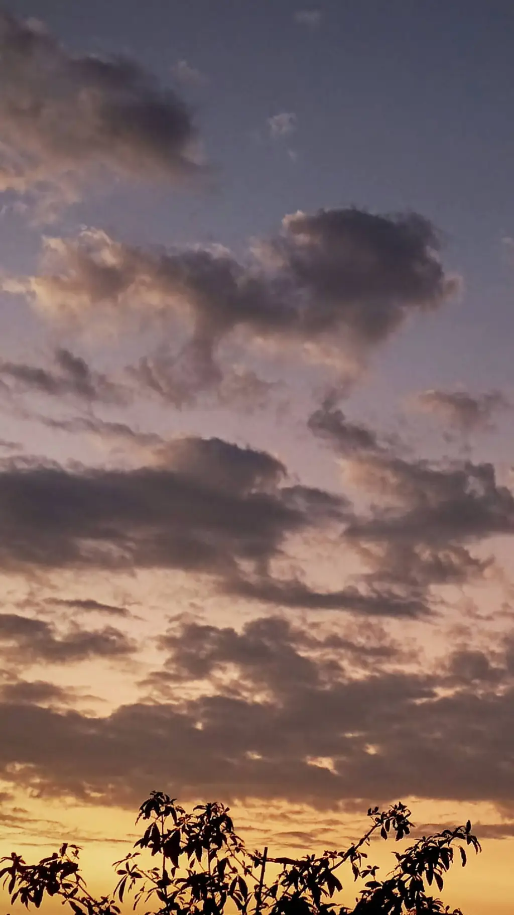 ai character: Bcw: Festival background