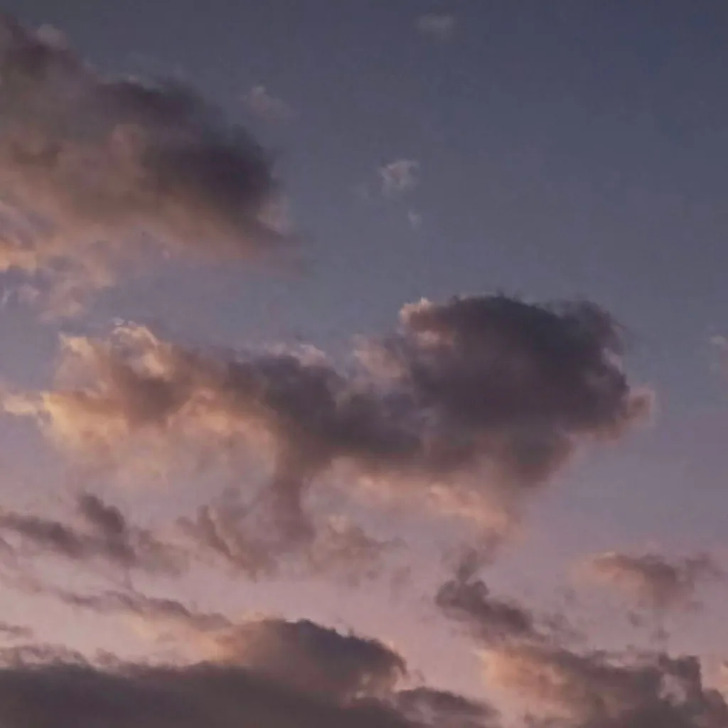 chat with ai character: Bcw: Festival