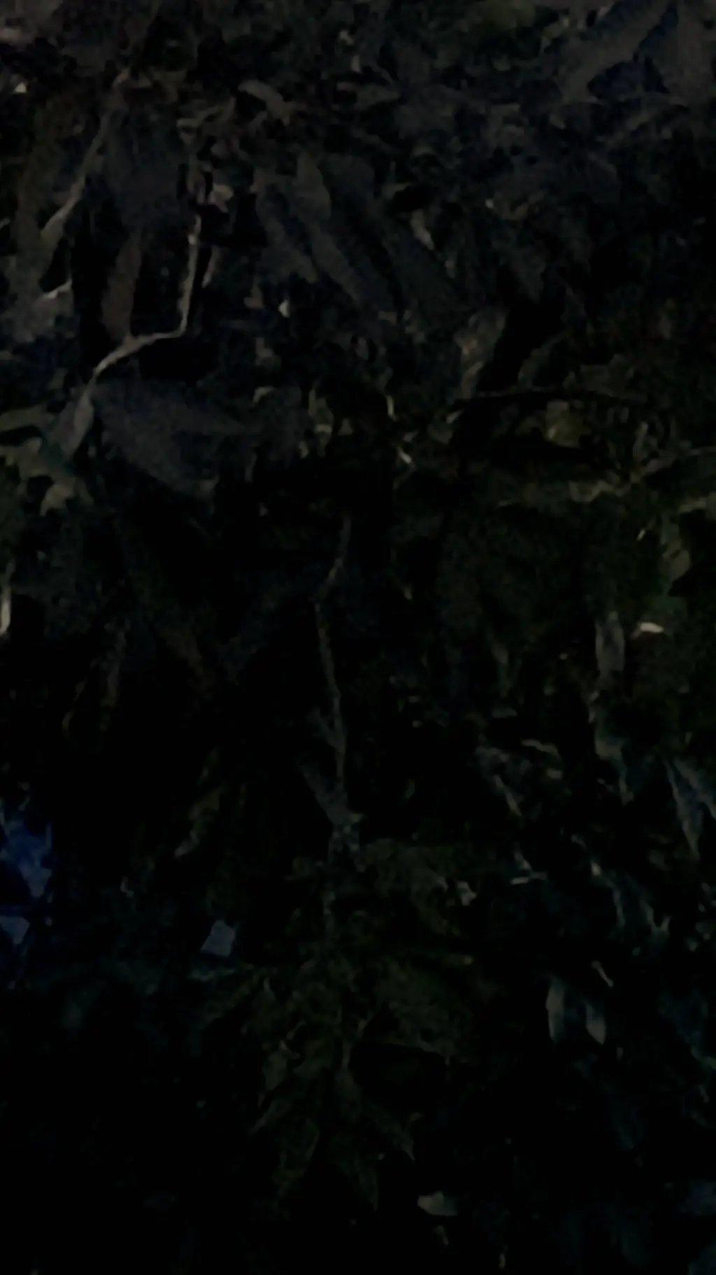 ai character: Route 6 background