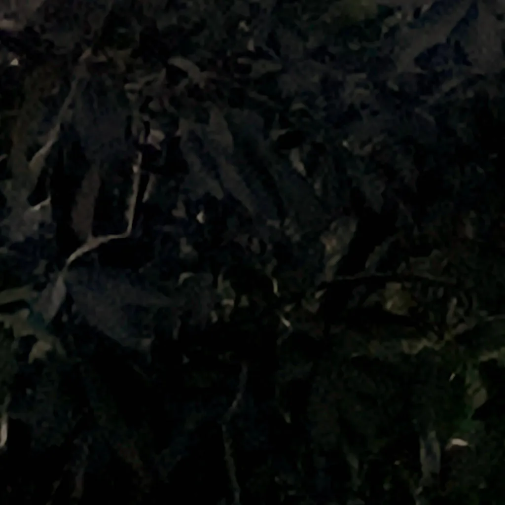 chat with ai character: Route 6