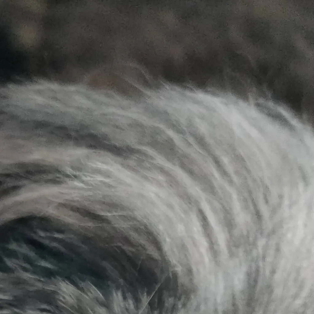 chat with ai character: your dog