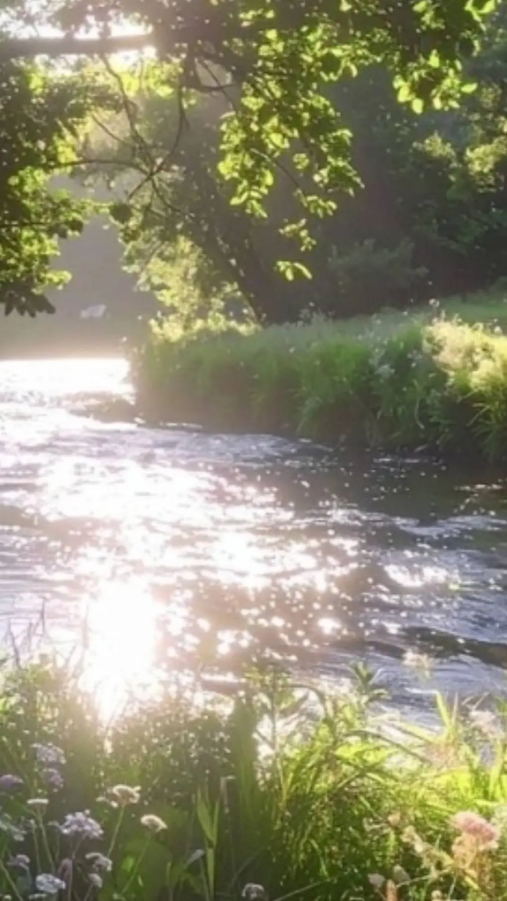 ai character: sprout background