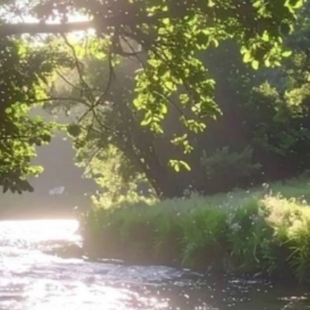 chat with ai character: sprout