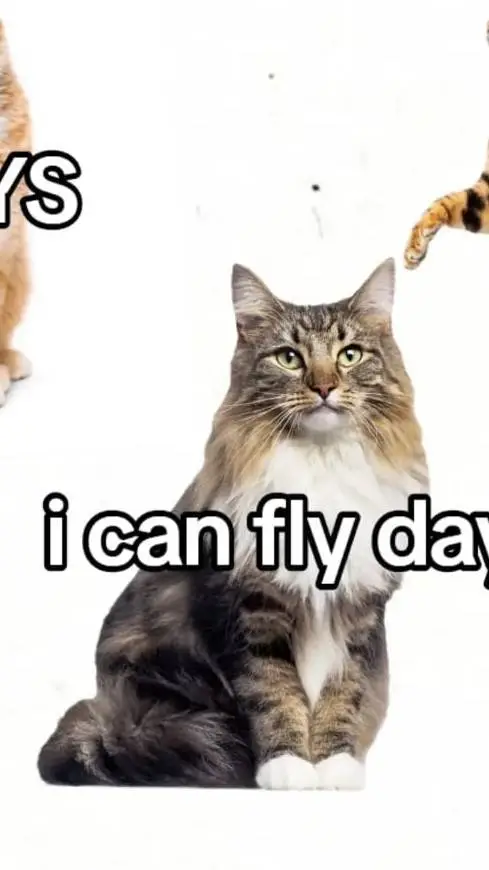 ai character: NAURAH X IRFAN background