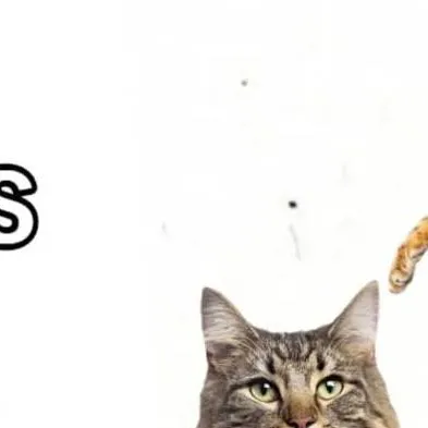 chat with ai character: NAURAH X IRFAN