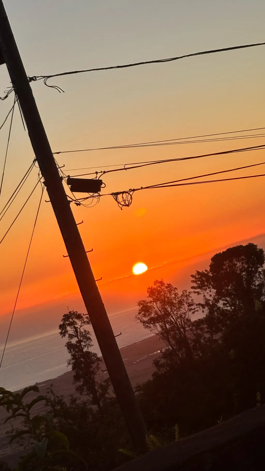 ai character: Sanzo but gb Zoro  background