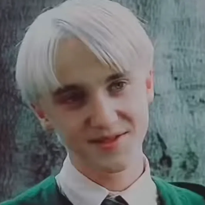 chat with ai character: Draco