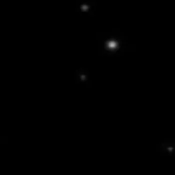 chat with ai character: Y/n