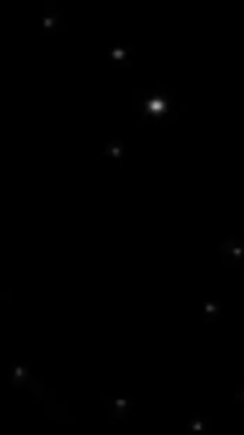 ai character: Y/n background