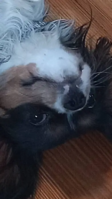 Talkie AI - Chat with Luna