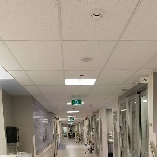 chat with ai character: !Alex! 