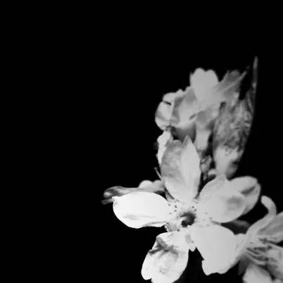 chat with ai character: mika