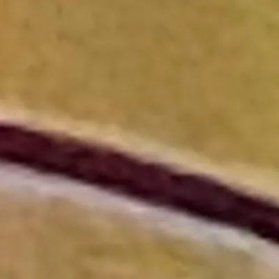 chat with ai character: Lloyds secret bro