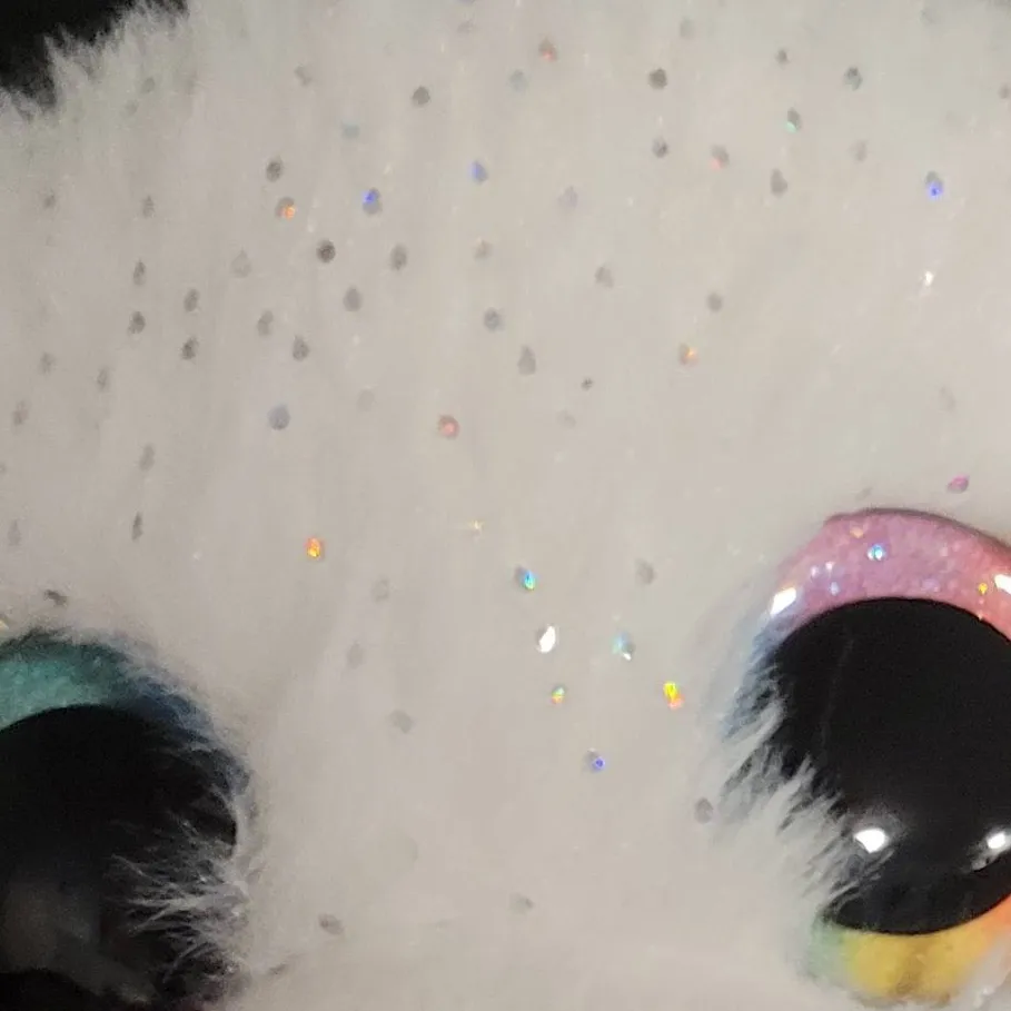chat with ai character: cat adoption