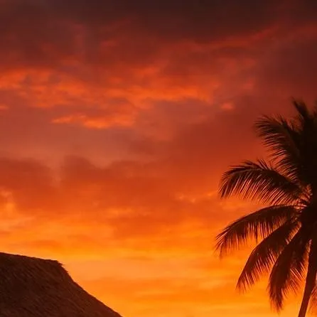 chat with ai character: Island